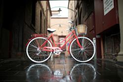 Reid Cycles Ride the Wave of Growing Demand for Ladies Vintage Bicycles