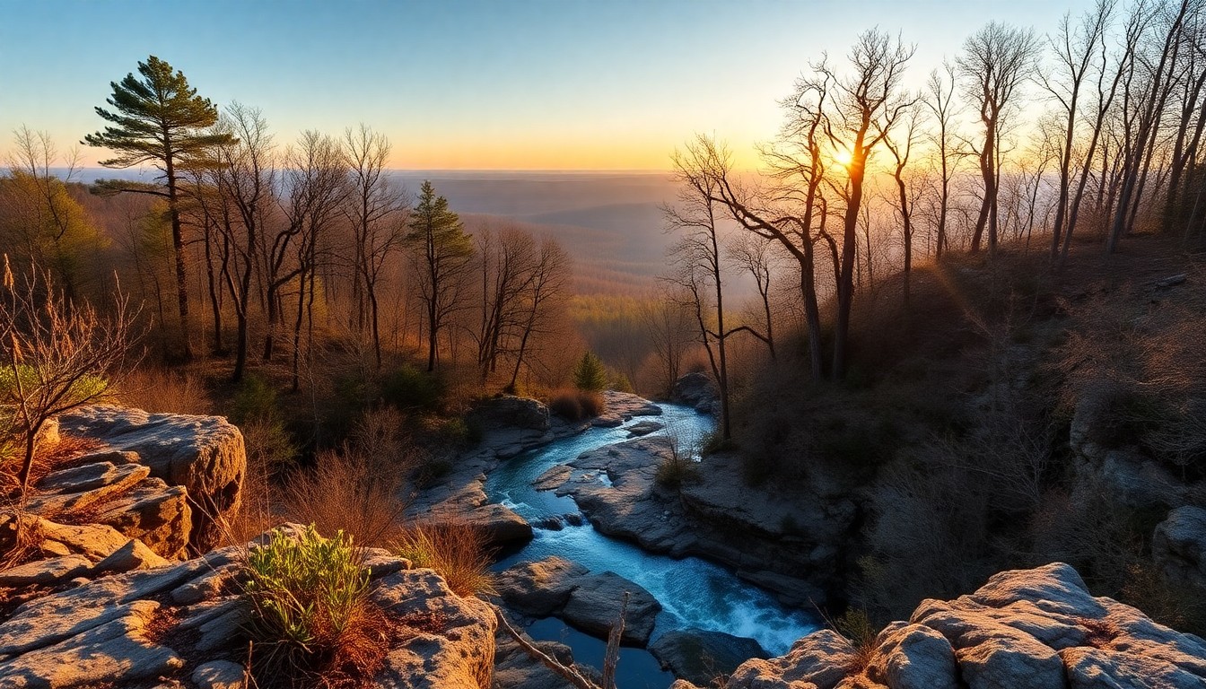 Deer Grove Yellow Trail - Chicago Life Magazine scenic photography